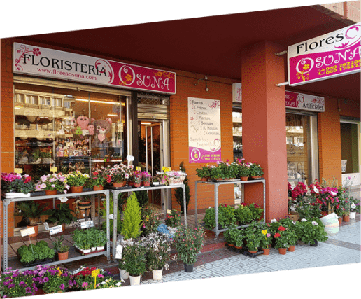 foto de la Floristería Osuna en Granada