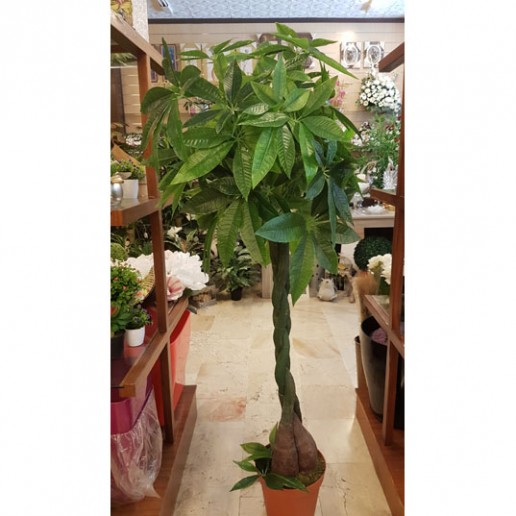 venta de pachira artificial planta para decorar