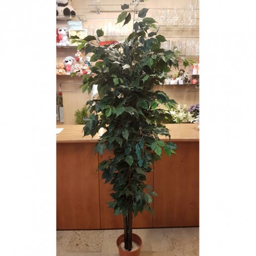 comprar ficus benjamina artificial en verde