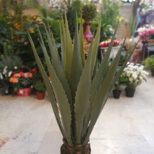 venta de agave artificial