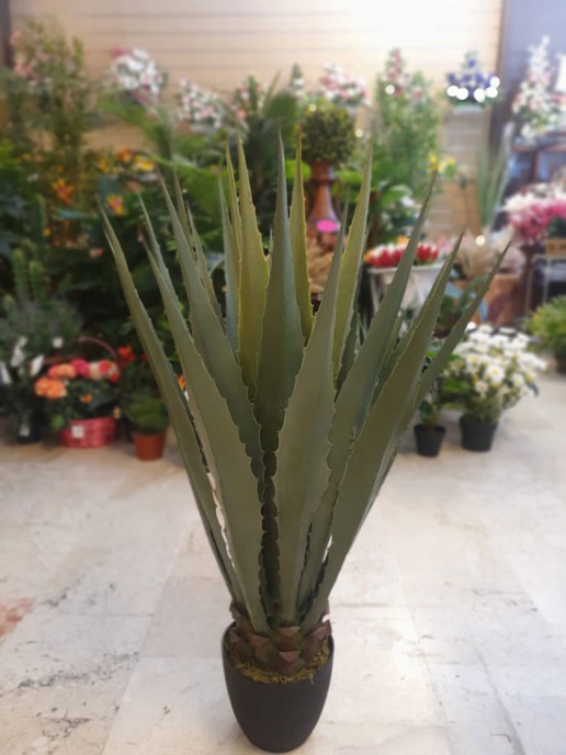 venta de agave artificial