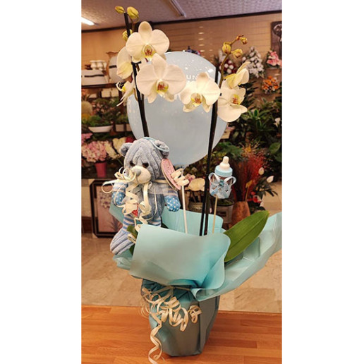 orquidea para regalar en nacimientos con envío al hospital de Granada